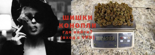 прущие грибы Богородск