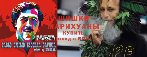 прущие грибы Богородск